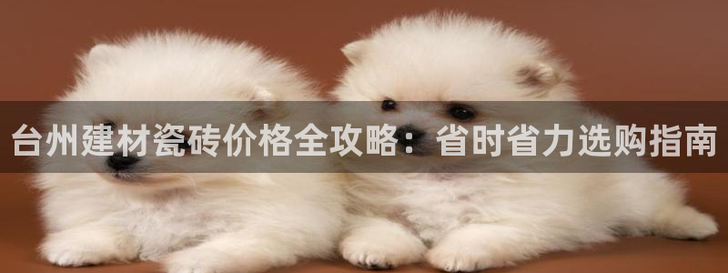 杏鑫手机客户端