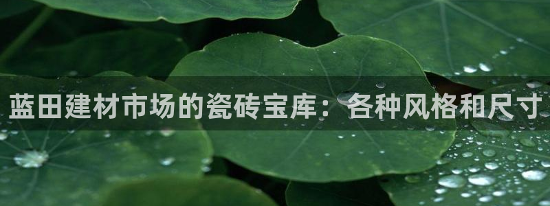 杏鑫平台是黑平台吗是真的吗
