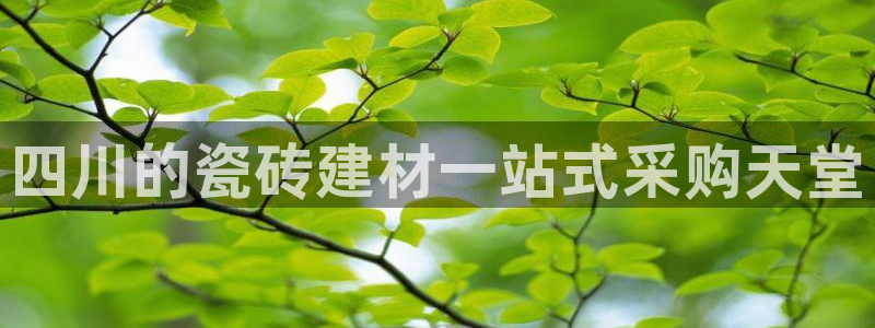 杏鑫平台线路测速