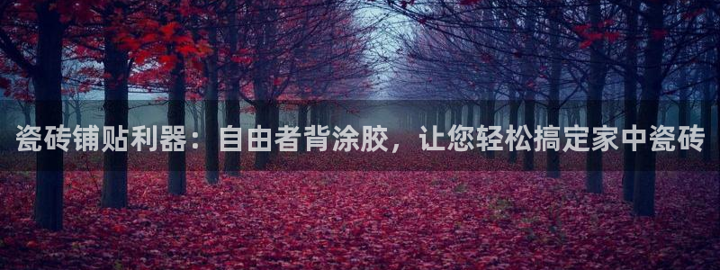 杏鑫官方平台怎么样啊知乎
