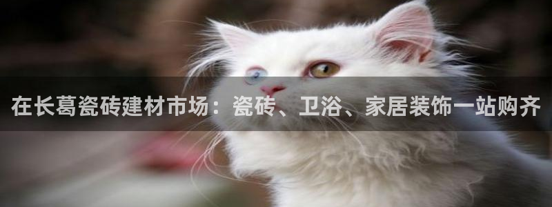 杏鑫官方app代理