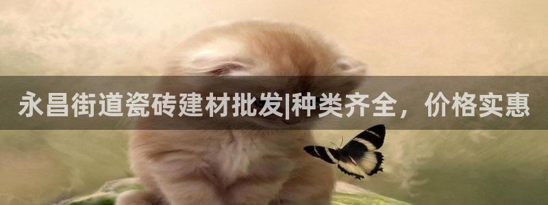 杏鑫官方平台怎么样啊知乎