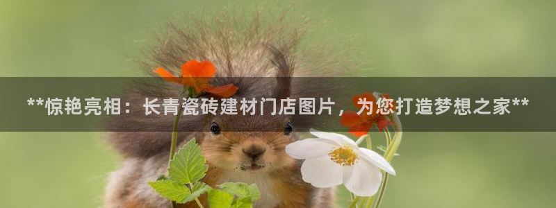 杏鑫平台代理注册多少钱啊