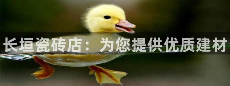 杏鑫平台正规吗是真的吗