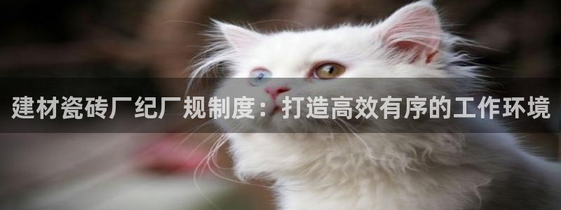 杏鑫平台登录地址查询