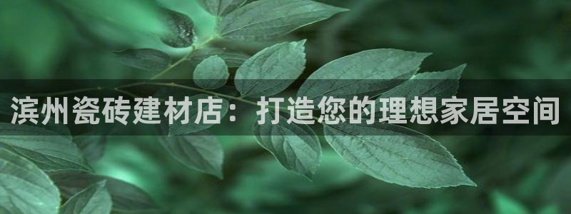 杏鑫有亏损返点吗