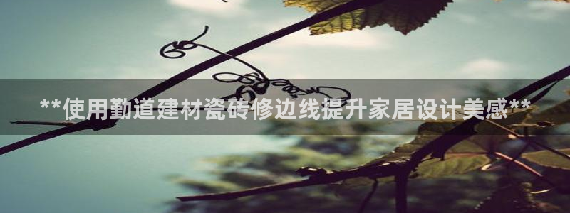杏鑫平台登陆