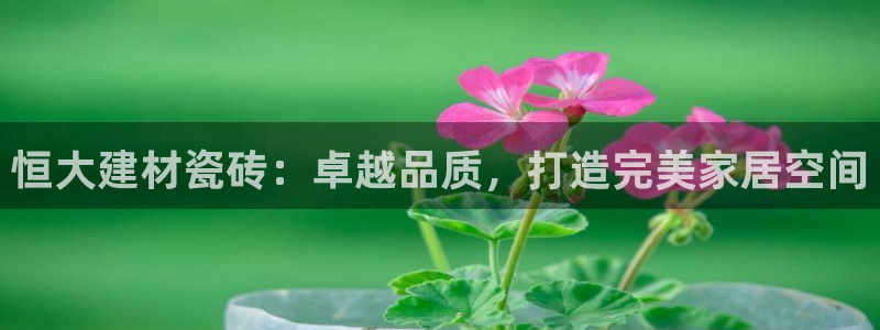 杏鑫平台号7O777