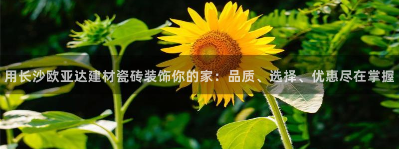 杏鑫平台怎么样黑钱吗是真的吗吗