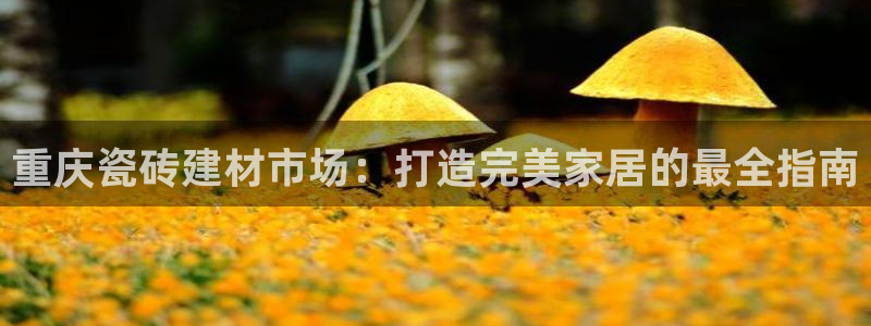 杏鑫娱乐官网登录不了