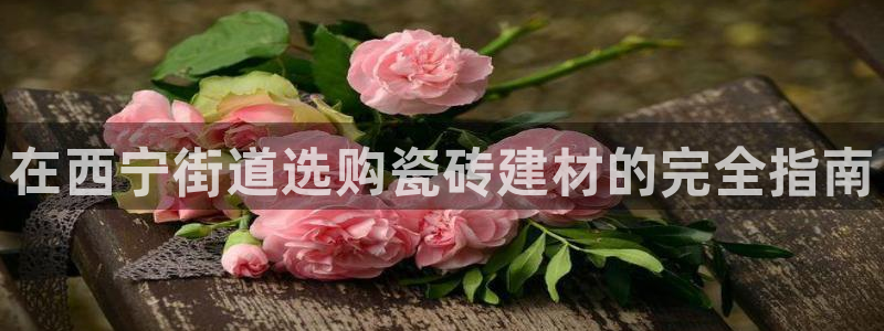 杏鑫官方app代理