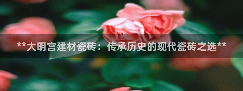 杏鑫官网注册账号密码忘了