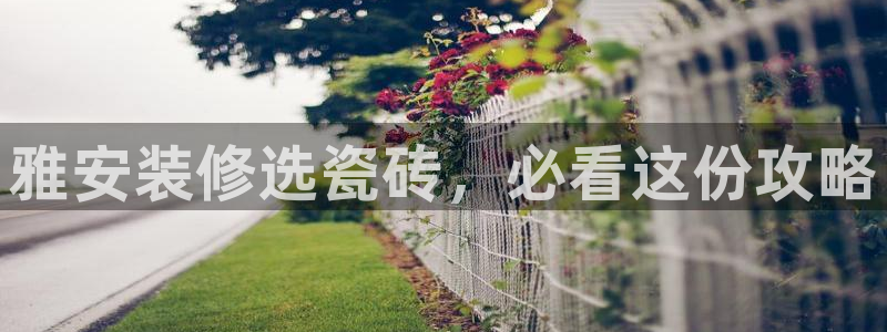 杏鑫平台代理注册要钱吗