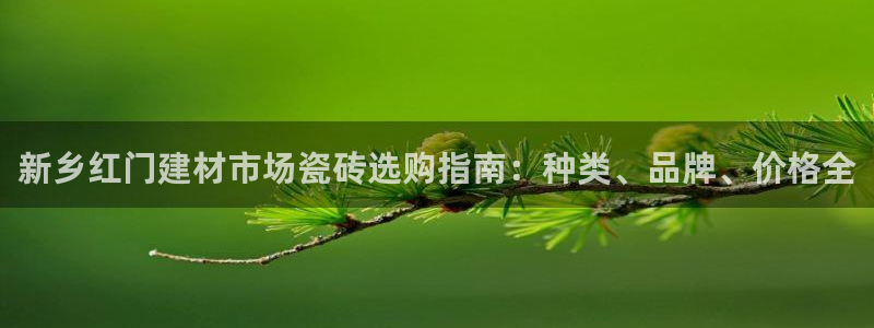 杏鑫测速注册