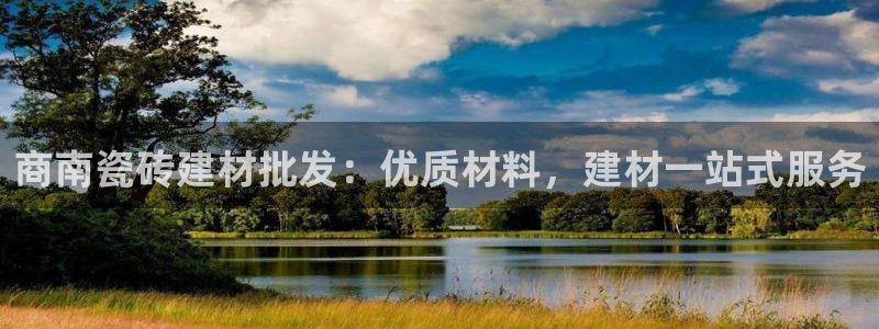 杏鑫平台代理注册流程图