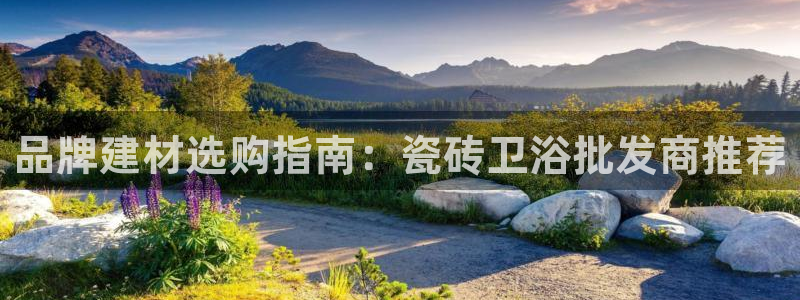 杏鑫登录注册测速