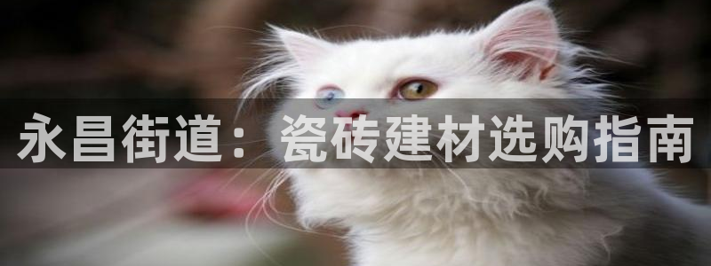 杏鑫平台招商
