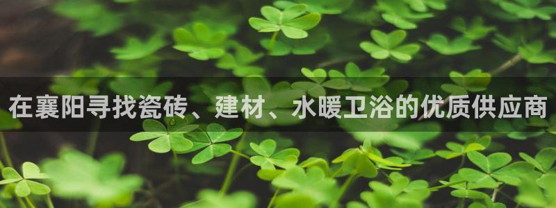 杏鑫平台下载安装