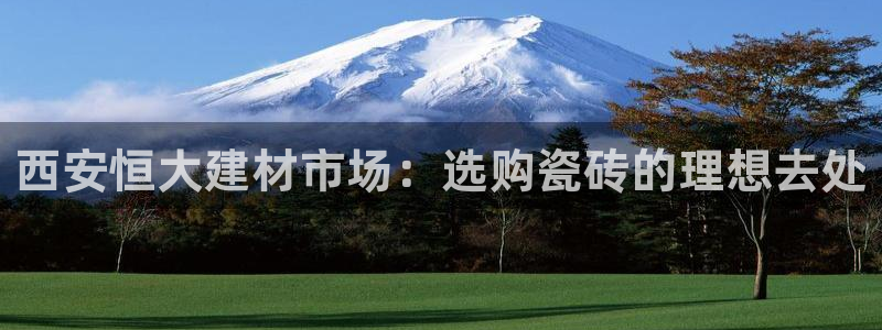 杏鑫平台招商电话