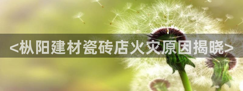 杏鑫平台注册入口在哪里找