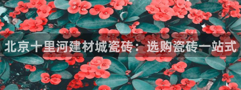 杏鑫注册平台官方网站