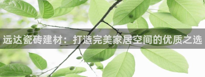 杏鑫注册登录平台