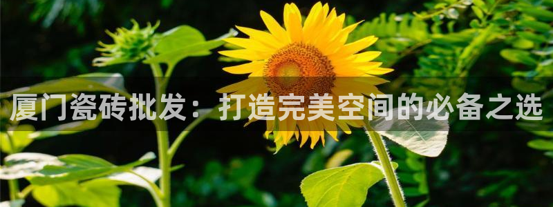 杏鑫娱乐官网首页