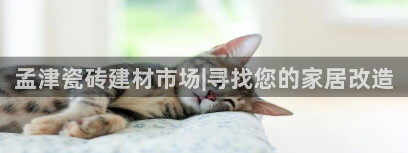 杏鑫娱乐是真的吗知乎