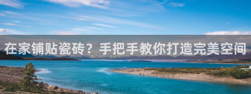 杏鑫平台招商电话