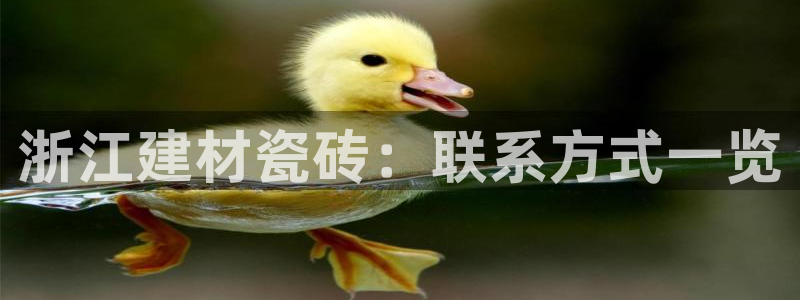 杏鑫娱乐靠谱吗