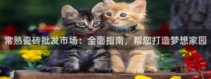 杏鑫平台正规吗
