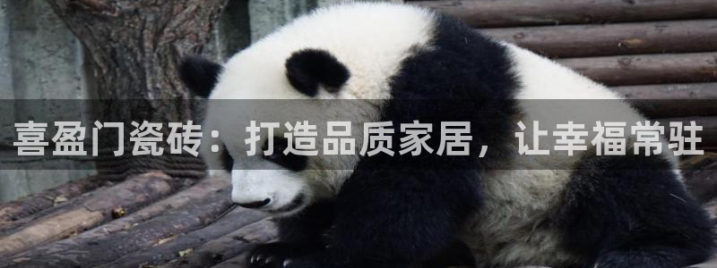 杏鑫平台代理注册流程图