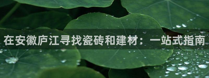 杏鑫娱乐官方网站客户端