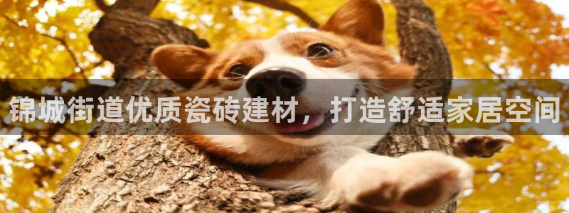 杏鑫娱乐是合法的吗?