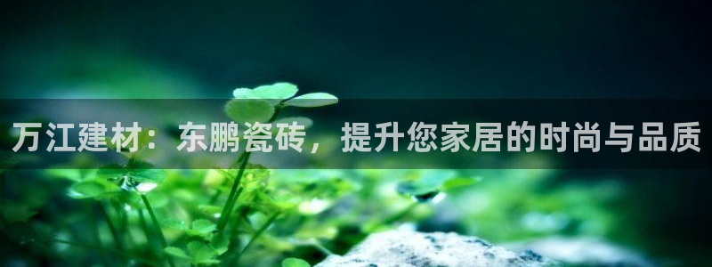 杏鑫官方平台怎么样啊