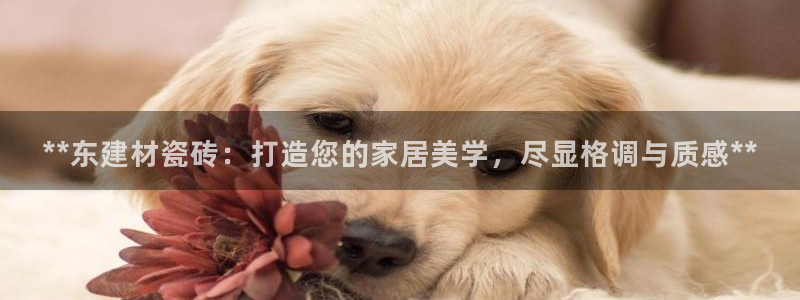 杏鑫平台怎么样黑钱吗知乎推荐