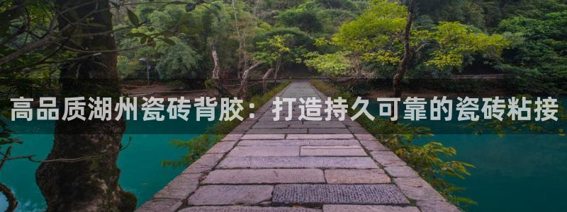 杏鑫注册登录代理公司