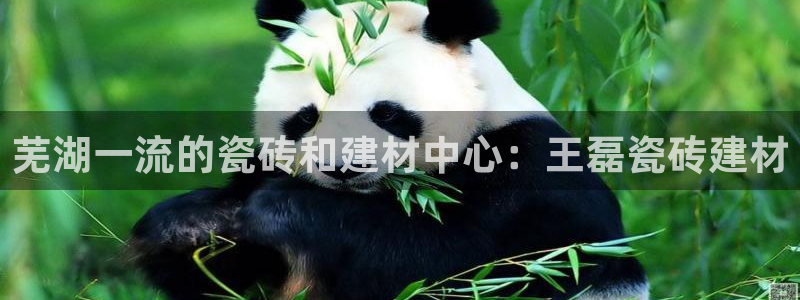 杏鑫平台代理注册要钱吗