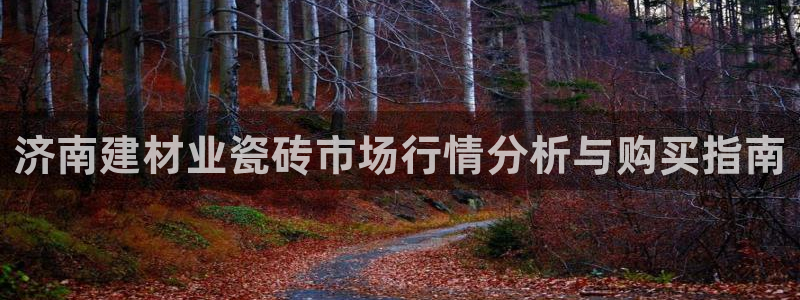 杏鑫手机客户端怎么下载