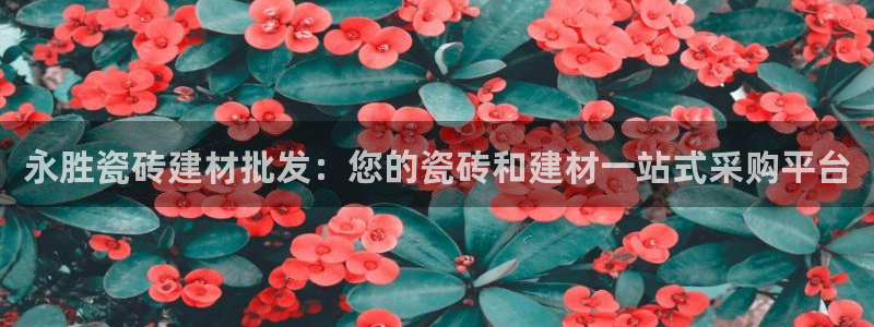 杏鑫官方平台怎么样