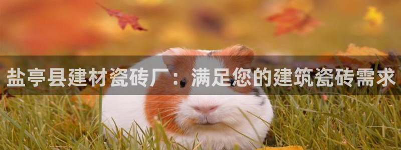 杏鑫平台怎么样黑钱吗是真的吗