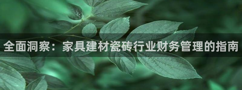 杏鑫平台招商