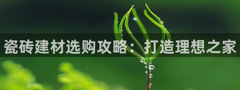 杏鑫平台靠谱吗