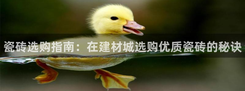 杏鑫平台是黑平台吗是真的吗