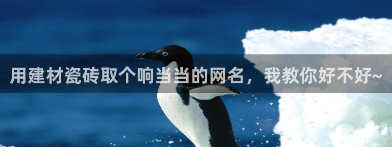 杏鑫平台代理