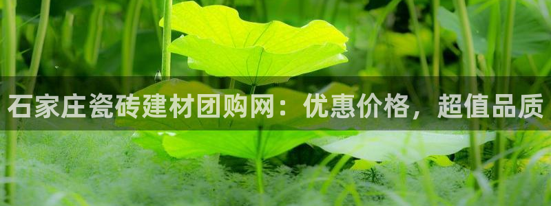 杏鑫娱乐官方网站客户端下载