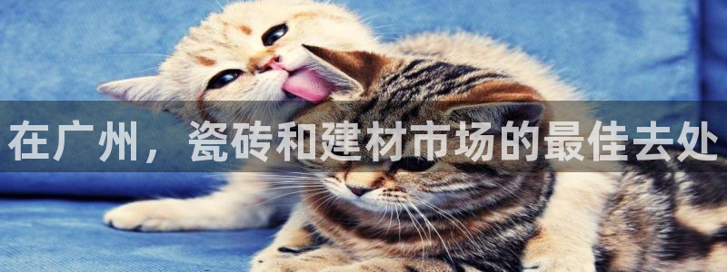 杏鑫注册平台官方网站入口