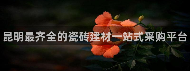 杏鑫平台平台