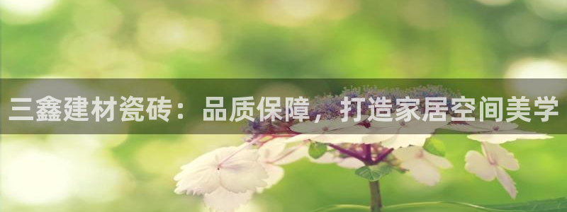 杏鑫平台招商