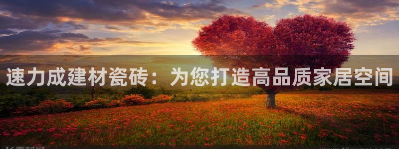 杏鑫官方平台怎么样